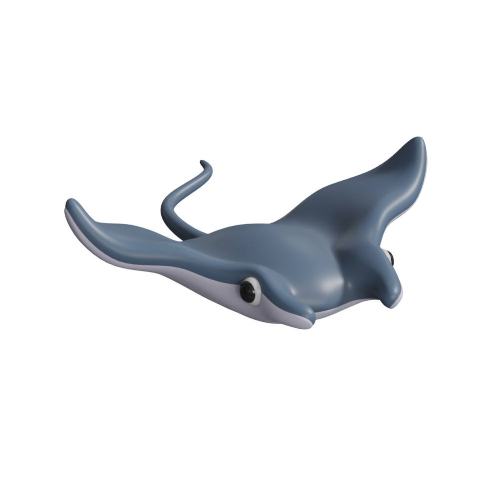 Manta ray